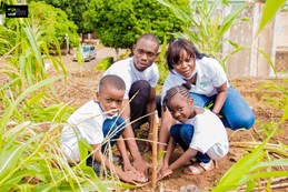 Blog4sdgs - Crédo Luc Gansou 